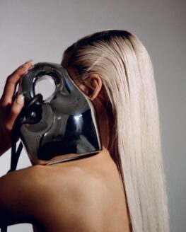 Published By High Fashion Bag Product Image